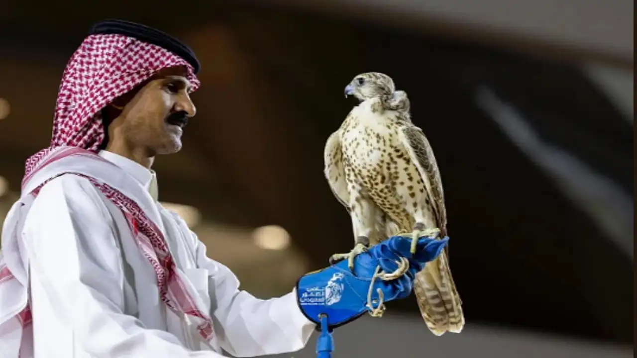 معرض الصقور السعودي يشهد بيع 4 طيور نادرة بقيمة 652 ألف ريال